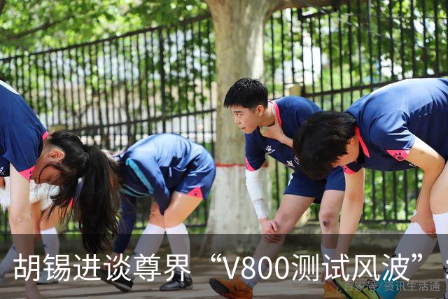 胡锡进谈尊界“V800测试风波”：华为子系统不需要特殊保护，鸿蒙智行在国内市场上经历各种风浪，这应视为正常